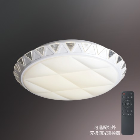遠(yuǎn)洋LED-24x2